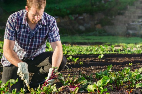 Composted material and mulch distributed to local beds