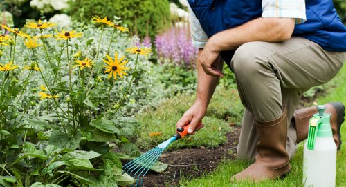 Inspector reviewing hedge trimming job evidence during investigation