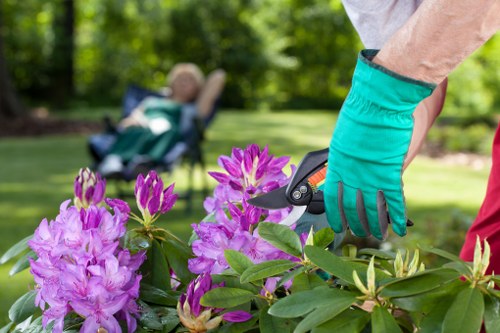 Team performing final checks after remedial hedge cutting work